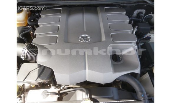 Buy Import Toyota Land Cruiser Black Car in Import - Dubai in Bumthang Buy Import Toyota Land Cruiser Black Car in Import - Dubai in Bumthang