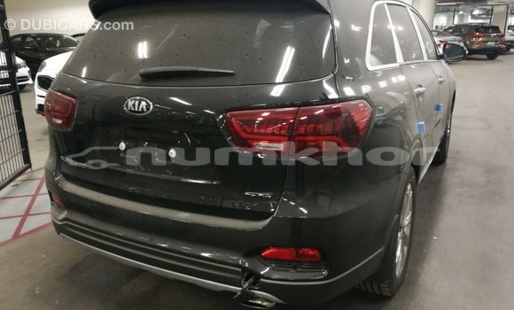 Buy Import Kia Sorento Brown Car in Import - Dubai in Bumthang Buy Import Kia Sorento Brown Car in Import - Dubai in Bumthang