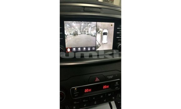 Buy Import Kia Sorento Brown Car in Import - Dubai in Bumthang Buy Import Kia Sorento Brown Car in Import - Dubai in Bumthang