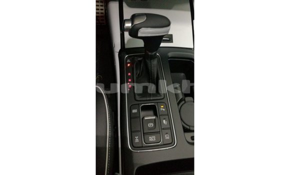 Buy Import Kia Sorento Brown Car in Import - Dubai in Bumthang Buy Import Kia Sorento Brown Car in Import - Dubai in Bumthang