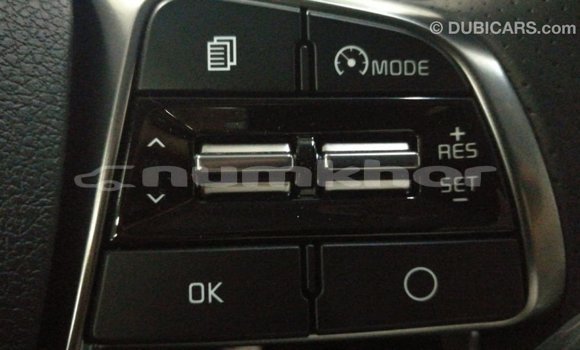 Buy Import Kia Sorento Brown Car in Import - Dubai in Bumthang Buy Import Kia Sorento Brown Car in Import - Dubai in Bumthang