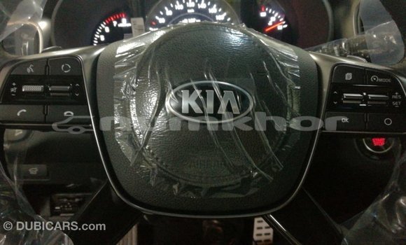 Buy Import Kia Sorento Brown Car in Import - Dubai in Bumthang Buy Import Kia Sorento Brown Car in Import - Dubai in Bumthang
