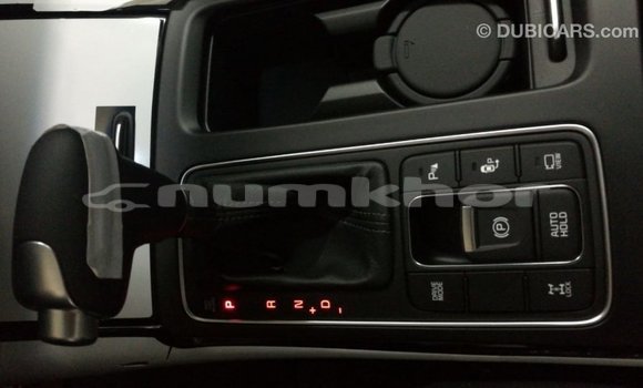 Buy Import Kia Sorento Brown Car in Import - Dubai in Bumthang Buy Import Kia Sorento Brown Car in Import - Dubai in Bumthang