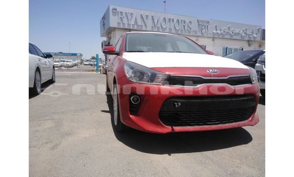 Buy Import Kia Rio Red Car in Import - Dubai in Bumthang Buy Import Kia Rio Red Car in Import - Dubai in Bumthang