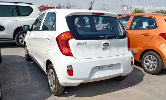 Buy Import Kia Picanto White Car in Import - Dubai in Bumthang Buy Import Kia Picanto White Car in Import - Dubai in Bumthang