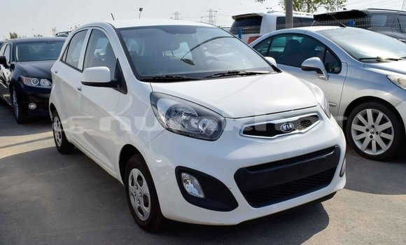 Buy Import Kia Picanto White Car in Import - Dubai in Bumthang Buy Import Kia Picanto White Car in Import - Dubai in Bumthang