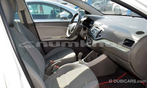 Buy Import Kia Picanto White Car in Import - Dubai in Bumthang Buy Import Kia Picanto White Car in Import - Dubai in Bumthang