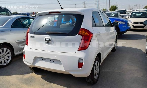 Buy Import Kia Picanto White Car in Import - Dubai in Bumthang Buy Import Kia Picanto White Car in Import - Dubai in Bumthang