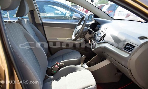Buy Import Kia Picanto Brown Car in Import - Dubai in Bumthang Buy Import Kia Picanto Brown Car in Import - Dubai in Bumthang