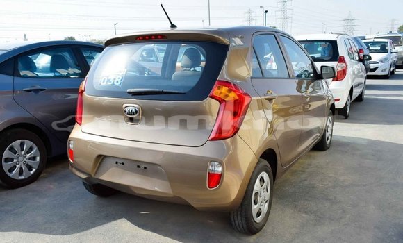 Buy Import Kia Picanto Brown Car in Import - Dubai in Bumthang Buy Import Kia Picanto Brown Car in Import - Dubai in Bumthang