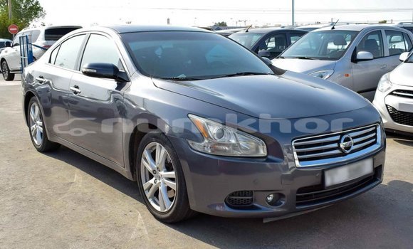 Buy Import Nissan Maxima Other Car in Import - Dubai in Bumthang Buy Import Nissan Maxima Other Car in Import - Dubai in Bumthang
