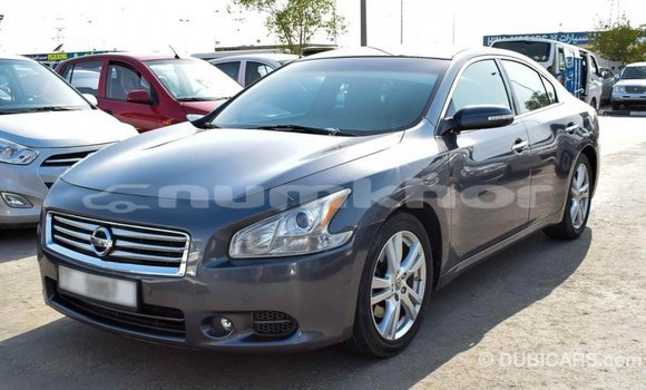 Buy Import Nissan Maxima Other Car in Import - Dubai in Bumthang Buy Import Nissan Maxima Other Car in Import - Dubai in Bumthang