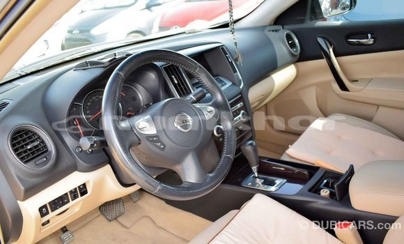Buy Import Nissan Maxima Other Car in Import - Dubai in Bumthang Buy Import Nissan Maxima Other Car in Import - Dubai in Bumthang