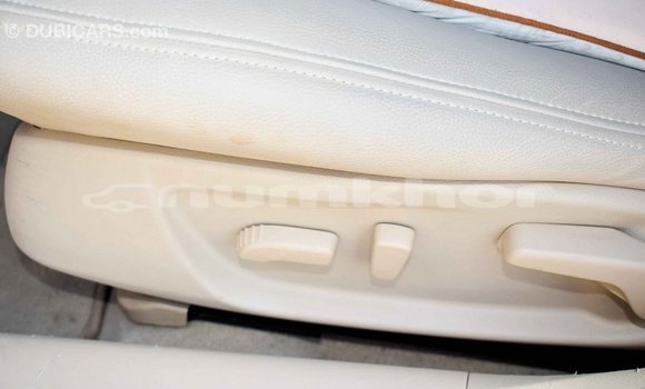 Buy Import Nissan Maxima Other Car in Import - Dubai in Bumthang Buy Import Nissan Maxima Other Car in Import - Dubai in Bumthang