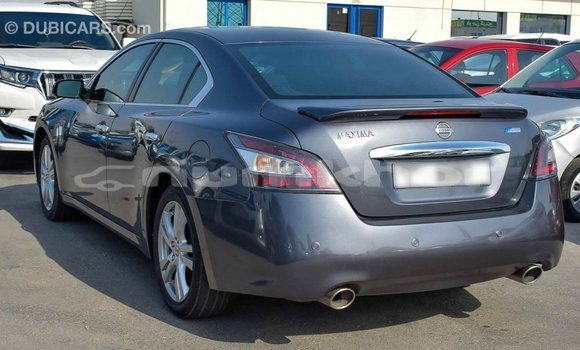 Buy Import Nissan Maxima Other Car in Import - Dubai in Bumthang Buy Import Nissan Maxima Other Car in Import - Dubai in Bumthang