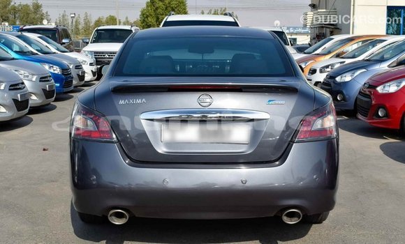Buy Import Nissan Maxima Other Car in Import - Dubai in Bumthang Buy Import Nissan Maxima Other Car in Import - Dubai in Bumthang