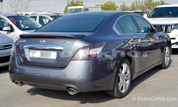 Buy Import Nissan Maxima Other Car in Import - Dubai in Bumthang Buy Import Nissan Maxima Other Car in Import - Dubai in Bumthang