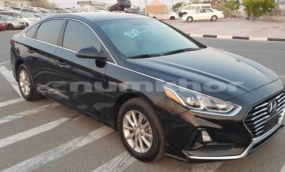 Buy Import Hyundai Sonata Black Car in Import - Dubai in Bumthang Buy Import Hyundai Sonata Black Car in Import - Dubai in Bumthang